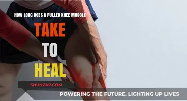 Pulled Knee Muscle Recovery: Understanding Healing Time and Process