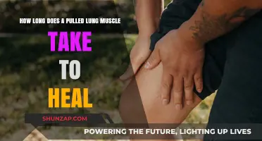 Pulled Lung Muscle Recovery Time: Healing Process and What to Expect