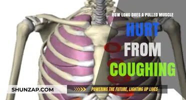 Pulled Muscle Pain Duration: How Long Does Coughing Aggravate It?