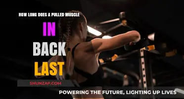 Pulled Back Muscle Recovery Time: What to Expect and How to Heal