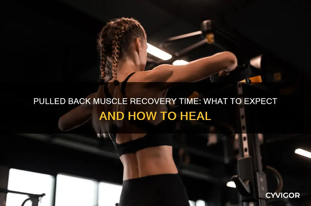 how long does a pulled muscle in back last