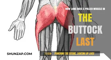 Pulled Buttock Muscle Recovery Time: What to Expect and How to Heal