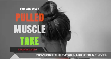Pulled Muscle Recovery Time: Understanding Healing Duration and Factors