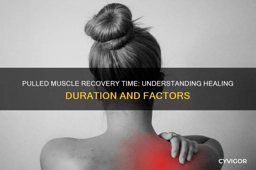 how long does a pulled muscle take