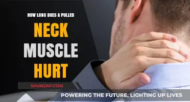 Pulled Neck Muscle Pain: Duration and Recovery Timeline Explained