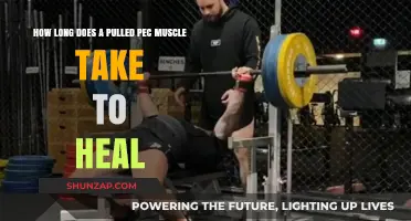 Pulled Pec Muscle Recovery: Understanding Healing Time and Treatment