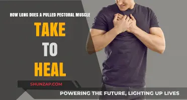 Pulled Pectoral Muscle Recovery Time: What to Expect and How to Heal