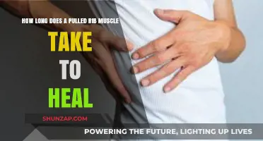 Pulled Rib Muscle Recovery Time: What to Expect During Healing