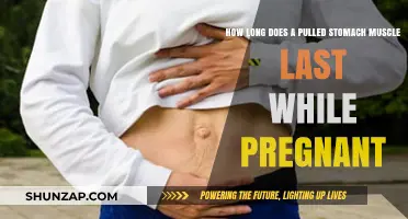 Pulled Stomach Muscle During Pregnancy: Recovery Time and Tips