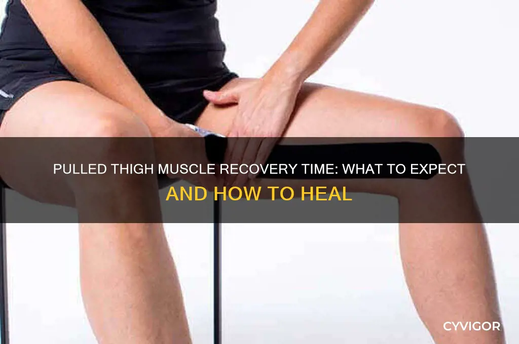 how long does a pulled thigh muscle last