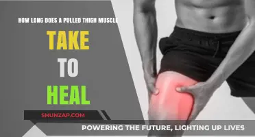 Pulled Thigh Muscle Recovery Time: What to Expect and How to Heal