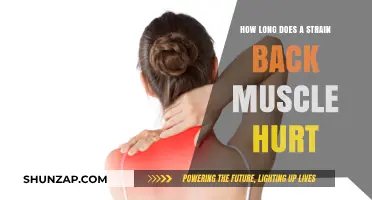 Understanding Back Muscle Strains: Duration of Pain and Recovery Tips