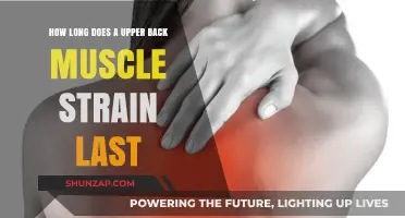 Understanding Upper Back Muscle Strain: Duration and Recovery Tips