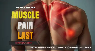 Understanding Back Muscle Pain Duration: Causes, Relief, and Recovery Timeline