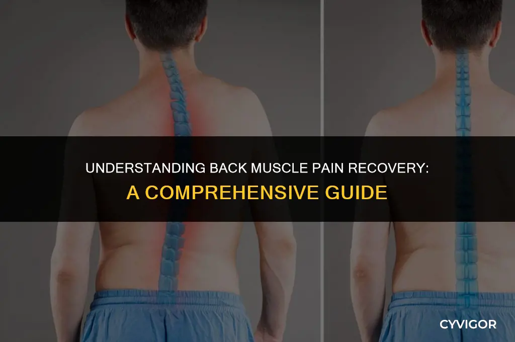 how long does back muscle pain take to heal