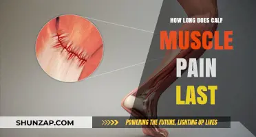 Understanding Calf Muscle Pain Duration: Causes, Relief, and Recovery Time