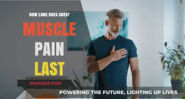 Understanding Chest Muscle Pain Duration: Causes, Relief, and Recovery Time