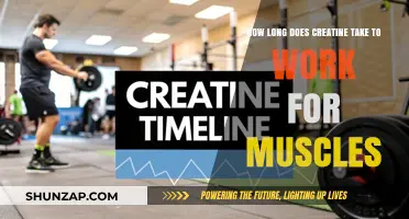 Creatine's Muscle-Building Timeline: How Long Until You See Results?