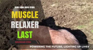 How Long Does Feral Muscle Relaxer Last: Duration Explained