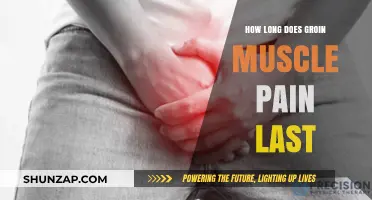Understanding Groin Muscle Pain Duration: Recovery Timeline and Healing Factors