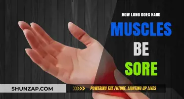 Understanding Hand Muscle Soreness Duration and Recovery Tips