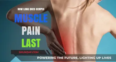 Understanding Herpes Muscle Pain Duration: How Long Does It Last?