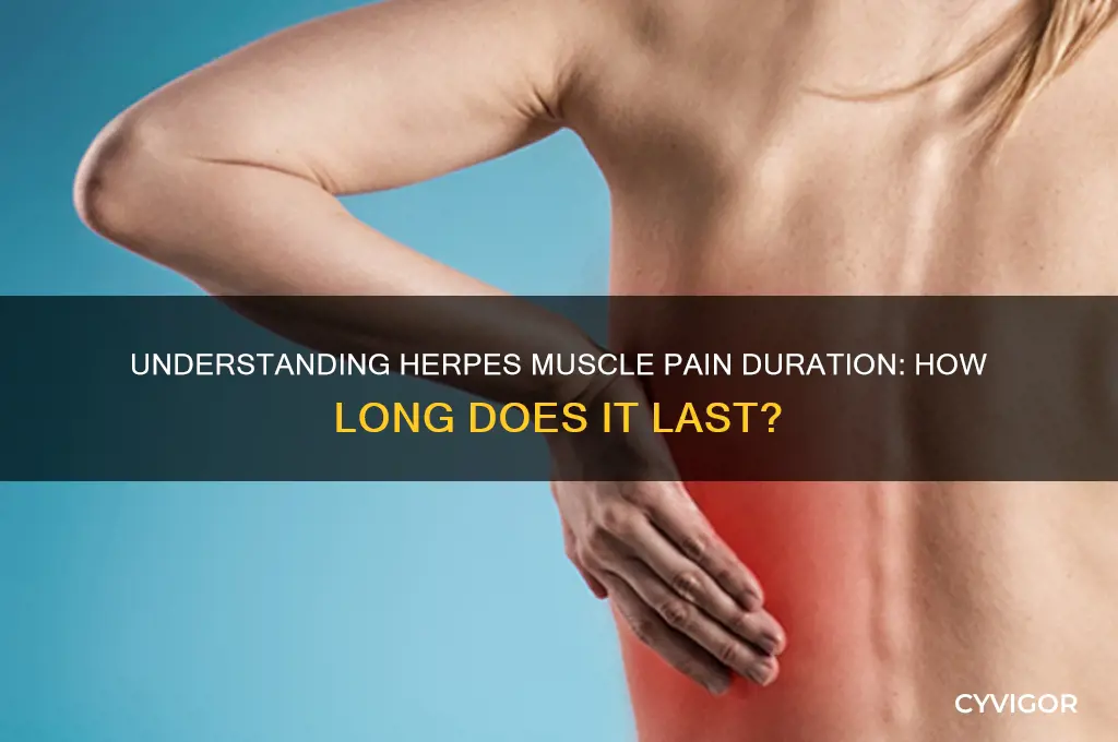 how long does herpes muscle pain last