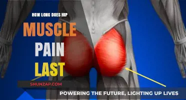 Understanding Hip Muscle Pain Duration: Causes, Relief, and Recovery Timeline