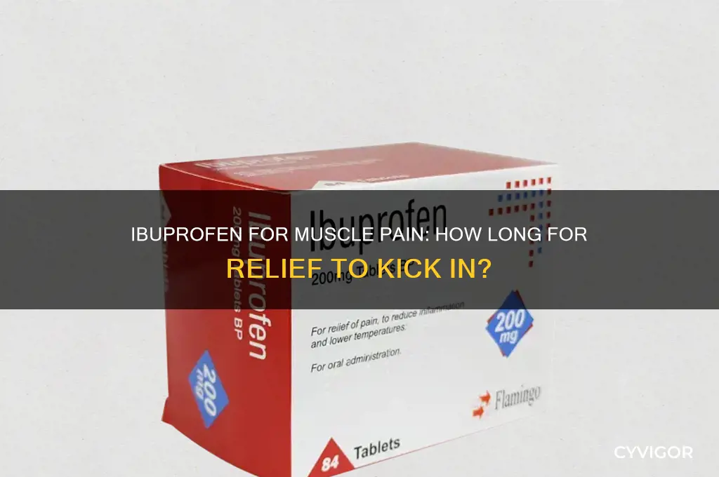 how long does ibuprofen take to work for muscle pain