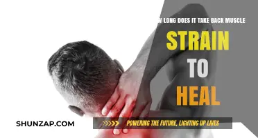 Road to Recovery: Healing Time for Back Muscle Strain
