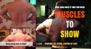 Sculpting Your Back: The Timeline to Visible Muscle Definition