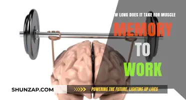 Muscle Memory: How Long Until Your Body Remembers?