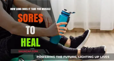 Muscle Soreness Recovery Time: Understanding Healing Duration and Factors