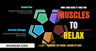 Muscle Relaxation Timeline: Understanding How Long Muscles Take to Unwind