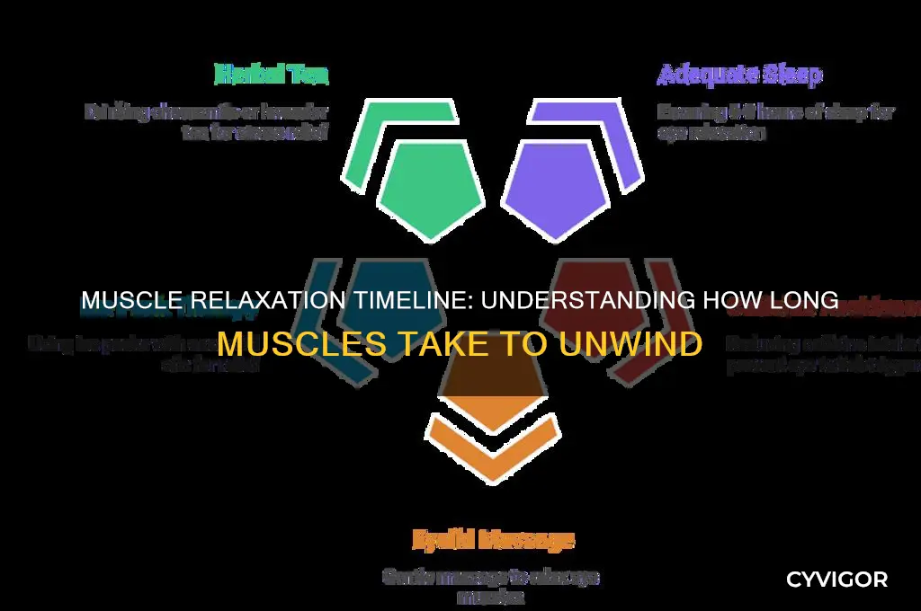 how long does it take for muscles to relax