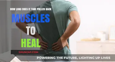 Pulled Back Muscle Recovery: Understanding Healing Time and Factors