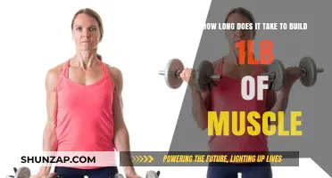 Muscle Building Timeline: How Long to Gain 1 Pound of Muscle?