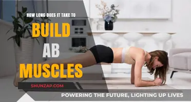 Sculpting Your Core: The Timeline to Visible Abs