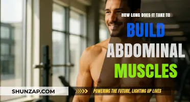 Sculpting Your Core: The Realistic Timeline for Building Abdominal Muscles