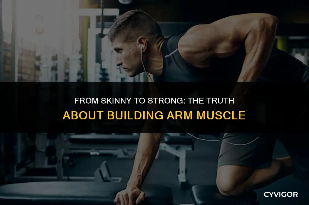 how long does it take to build arm muscle