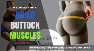 Sculpting Strong Glutes: A Timeline for Building Buttock Muscles