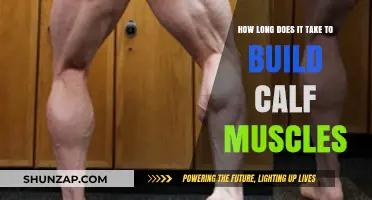 Building Calf Muscles: A Timeline for Visible Results