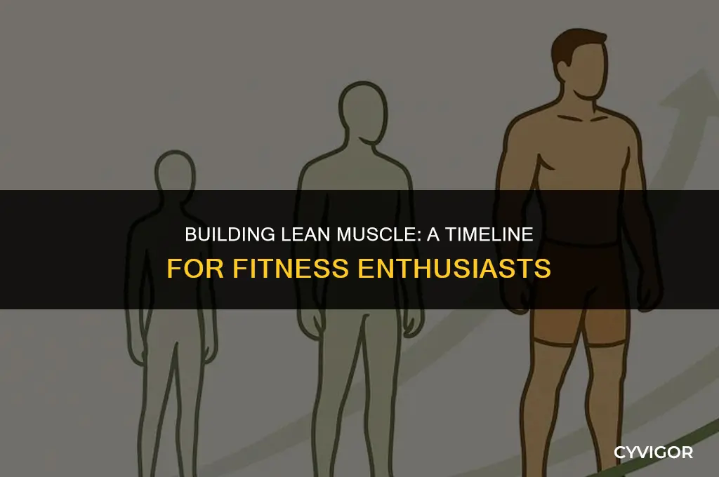how long does it take to build lean muscle