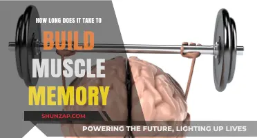 Mastering Skills: The Timeline to Muscle Memory Development