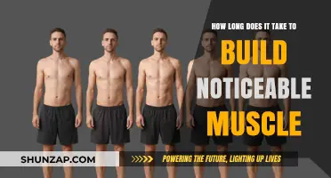 From Flabby to Fit: The Realistic Timeline for Building Noticeable Muscle