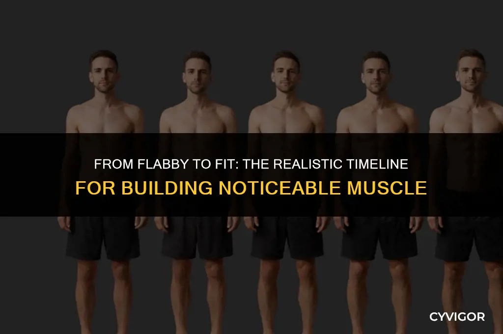 how long does it take to build noticeable muscle
