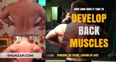 Building Back Muscles: A Timeline for Strength and Development