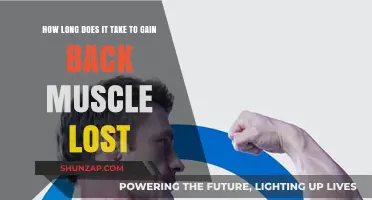 Regaining Lost Muscle: Understanding Recovery Time and Strategies