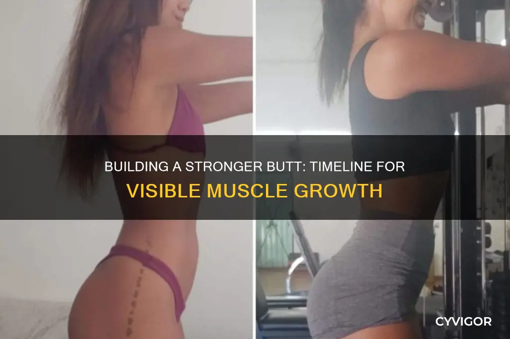 how long does it take to gain butt muscle