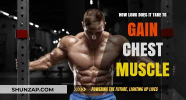 Building Chest Muscles: Timeframe for Visible Growth and Strength Gains